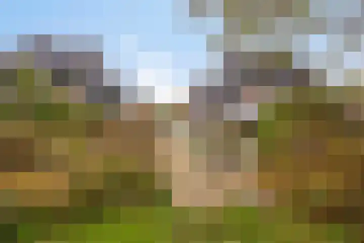 De Ljurk 11 Hurdegaryp thumbnail 43