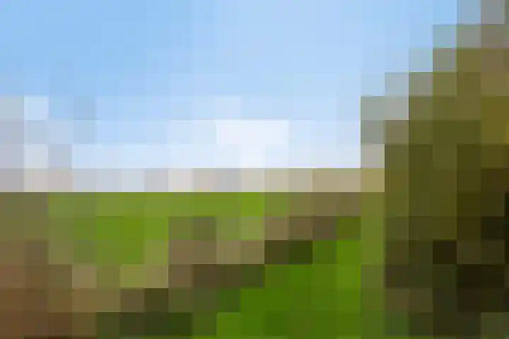 De Ljurk 11 Hurdegaryp thumbnail 44