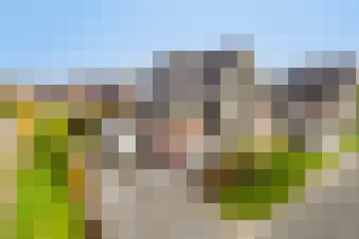 De Ljurk 11 Hurdegaryp thumbnail 5