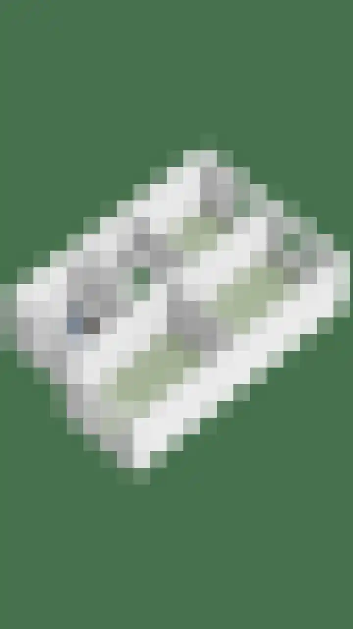 De Ljurk 11 Hurdegaryp thumbnail 51