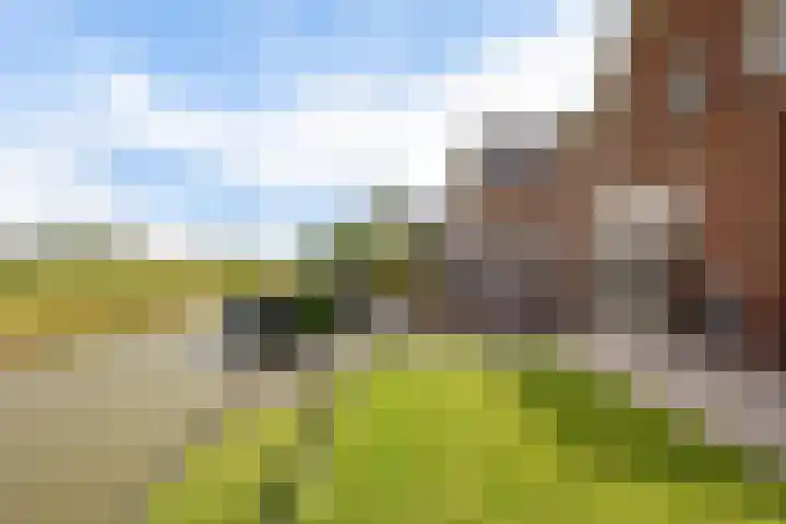 De Ljurk 35 Leeuwarden thumbnail 21