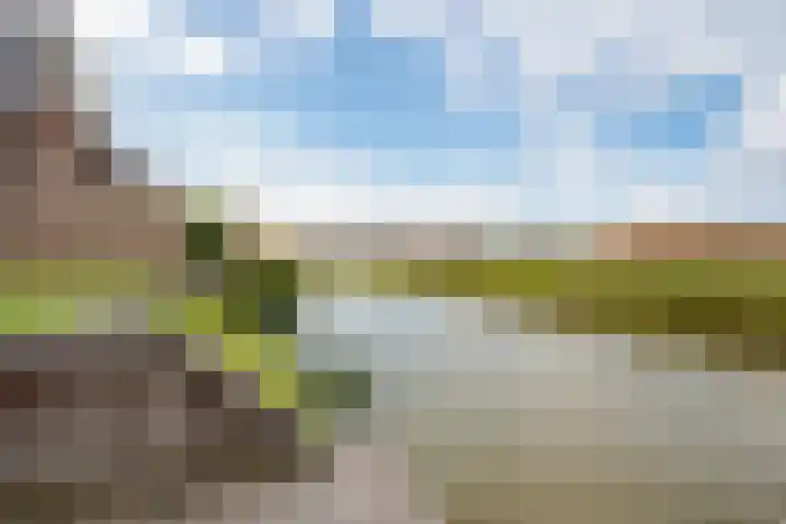 De Ljurk 35 Leeuwarden thumbnail 22