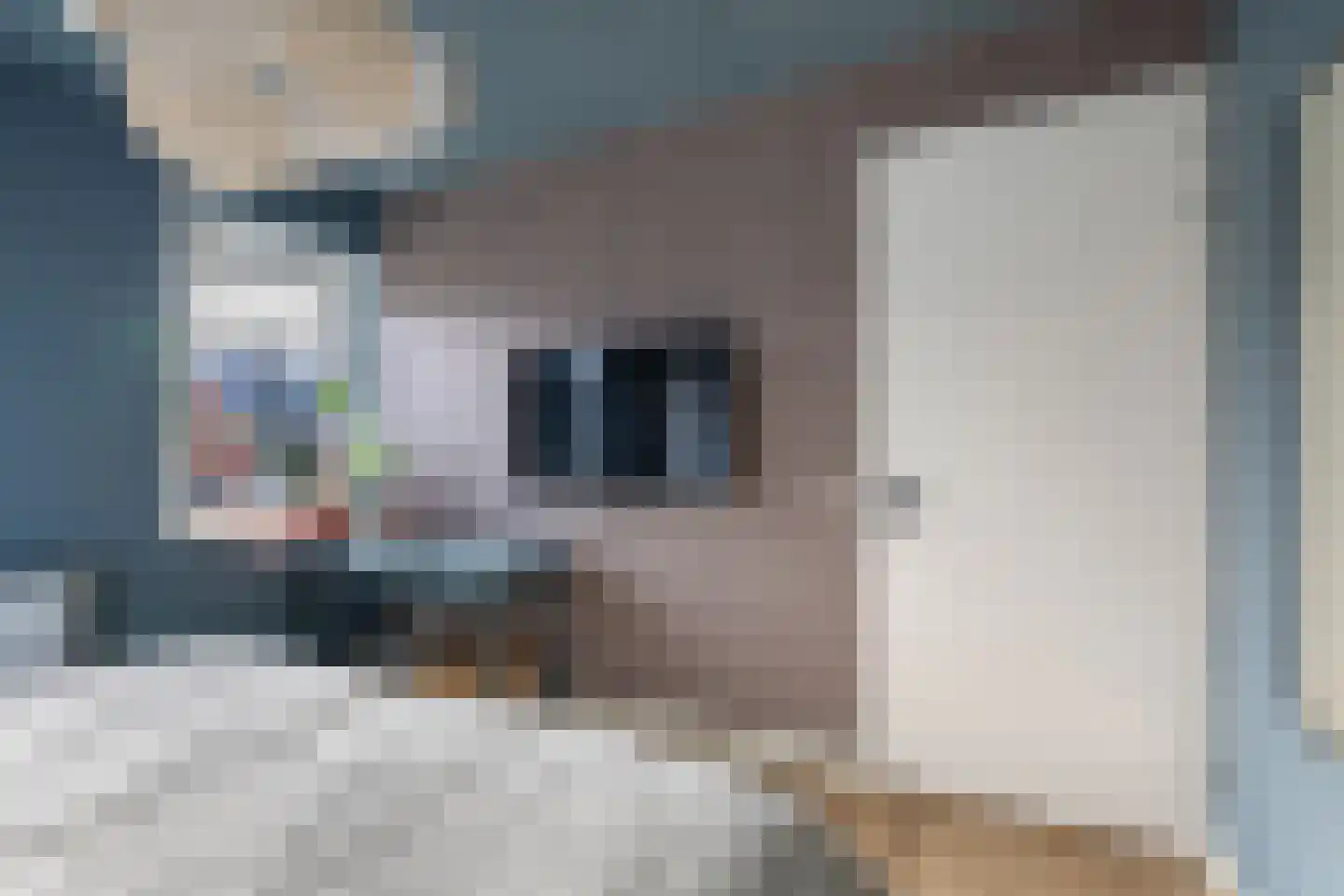 De Ljurk 8 Leeuwarden thumbnail 33
