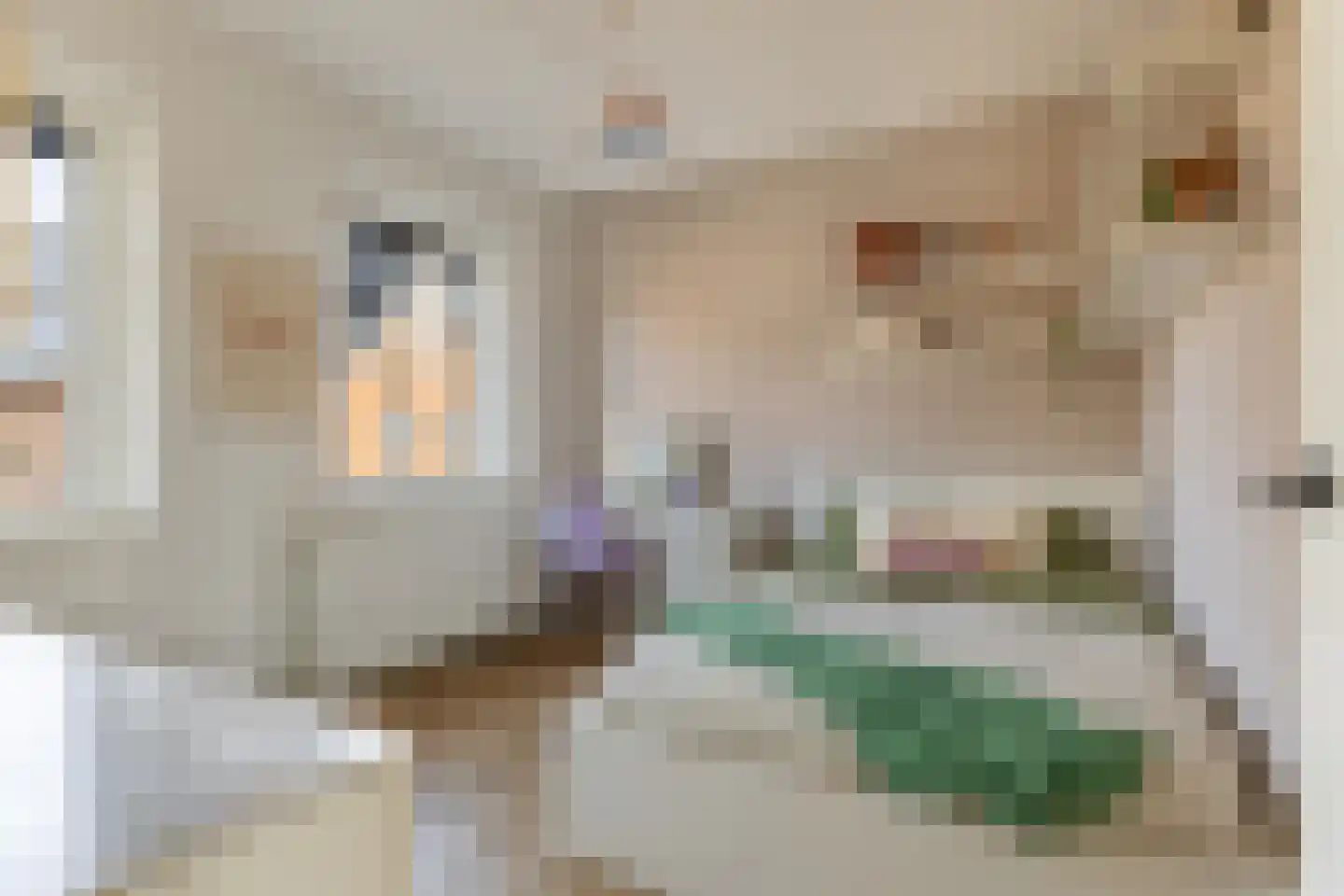 De Ljurk 8 Leeuwarden thumbnail 35