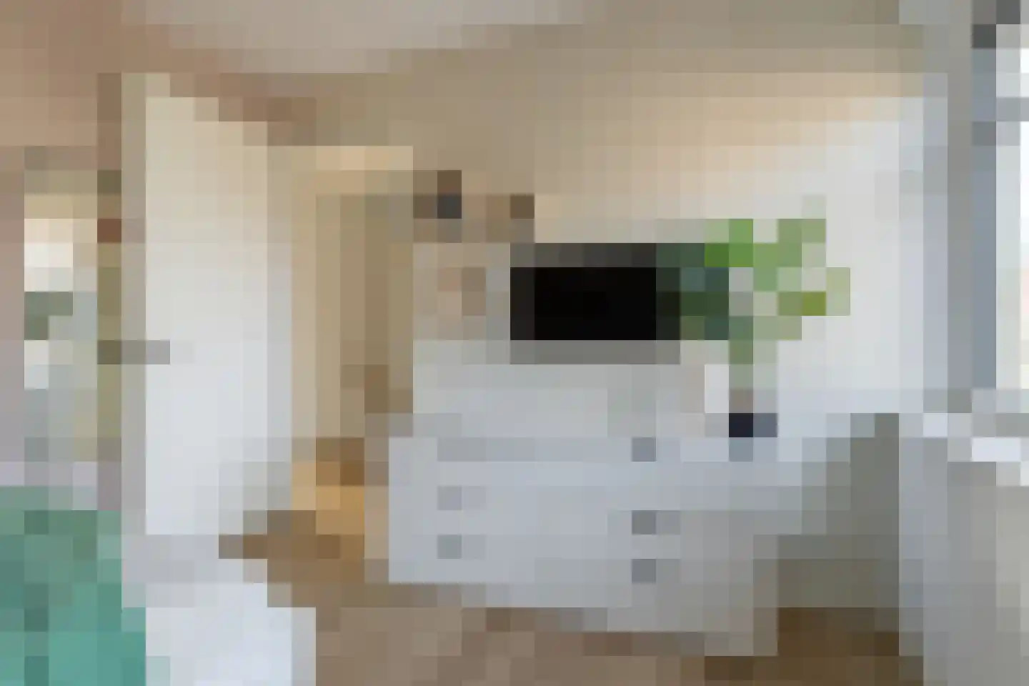 De Ljurk 8 Leeuwarden thumbnail 37