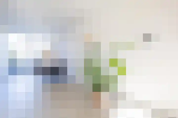 De Loanen 19 Eanjum thumbnail 10