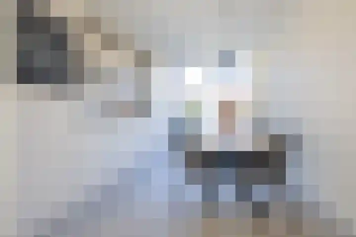 De Loanen 19 Eanjum thumbnail 12
