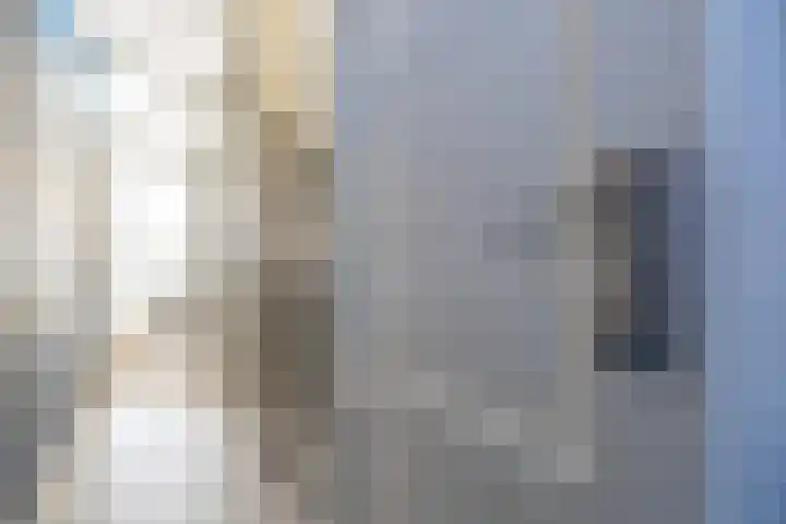 De Loanen 19 Eanjum thumbnail 16