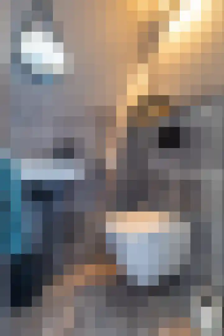 De Loanen 19 Eanjum thumbnail 17