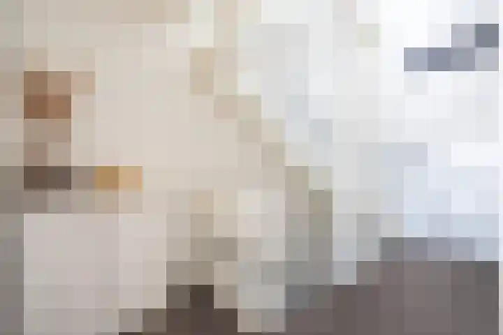 De Loanen 19 Eanjum thumbnail 20