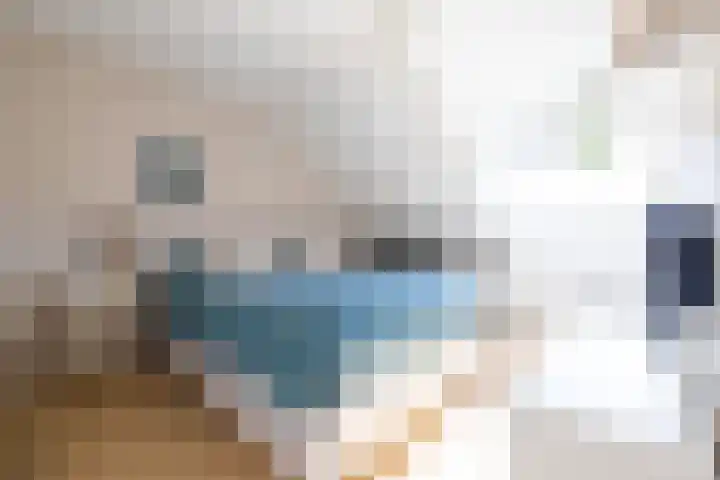De Loanen 19 Eanjum thumbnail 21