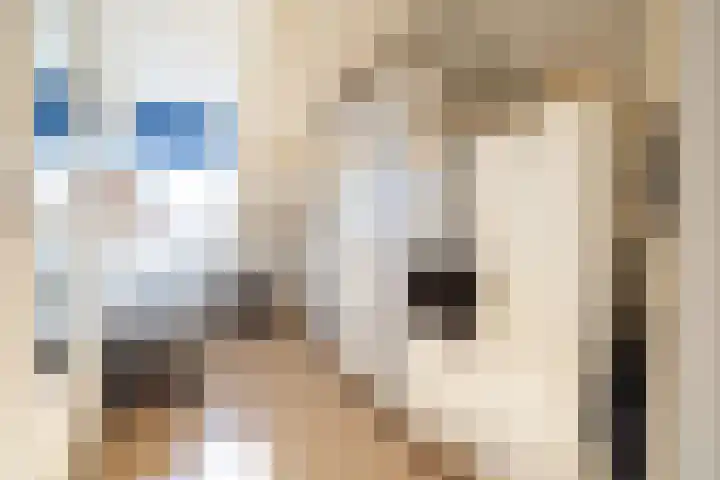 De Loanen 19 Eanjum thumbnail 24