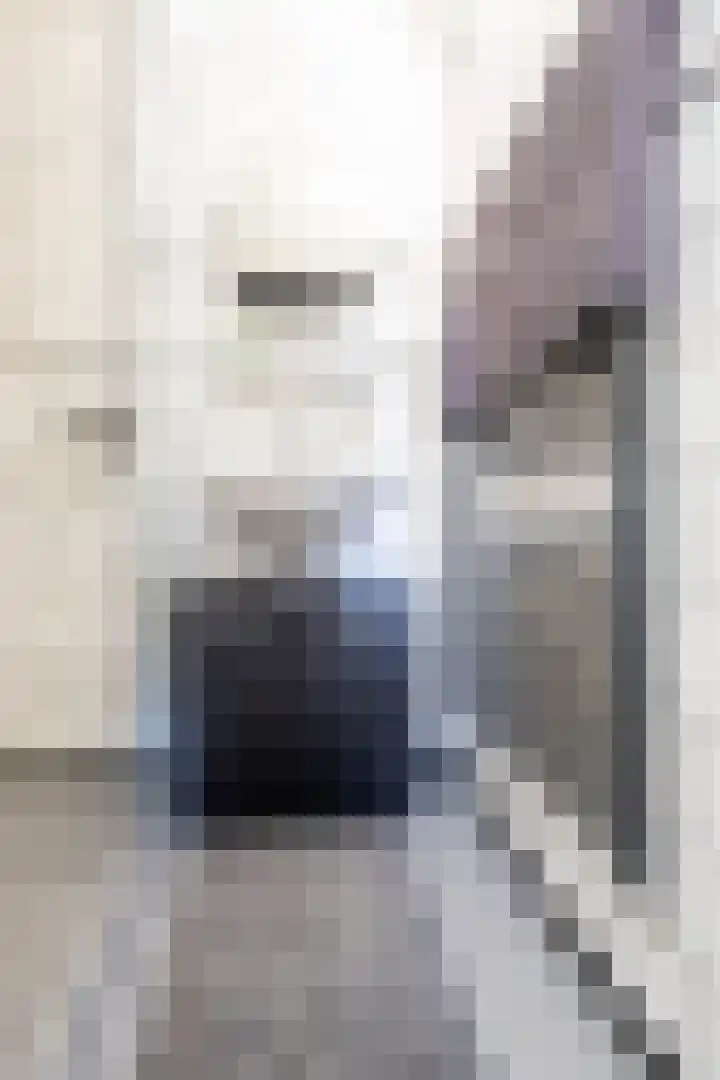De Loanen 19 Eanjum thumbnail 26