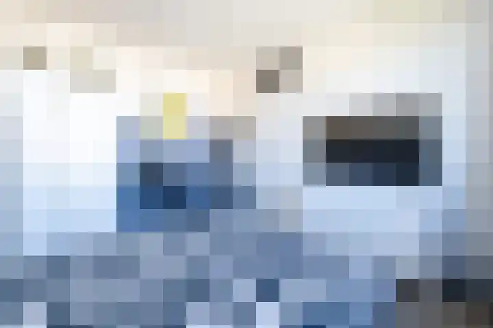 De Loanen 19 Eanjum thumbnail 31
