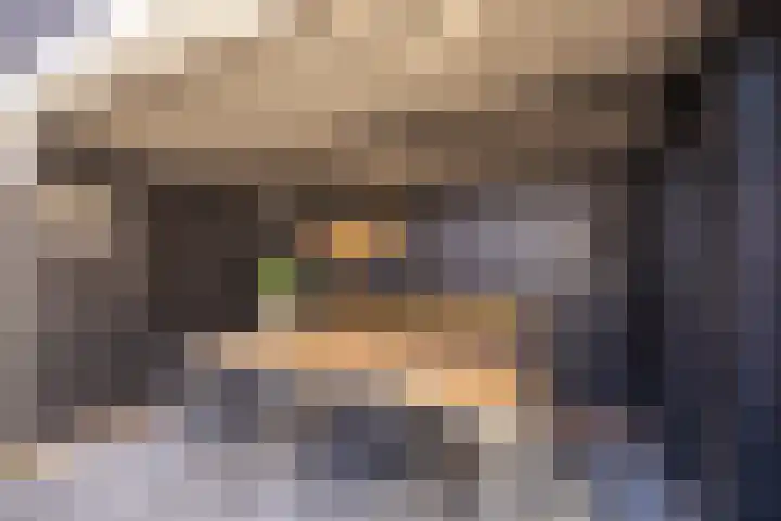De Loanen 19 Eanjum thumbnail 37