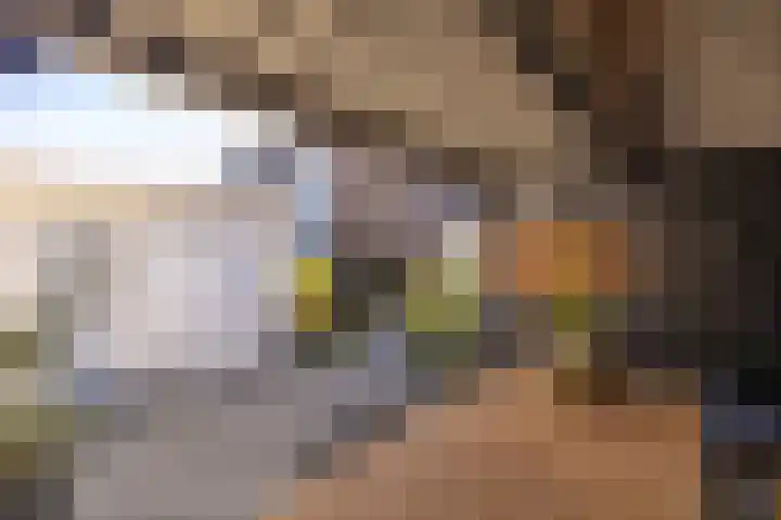 De Loanen 19 Eanjum thumbnail 38