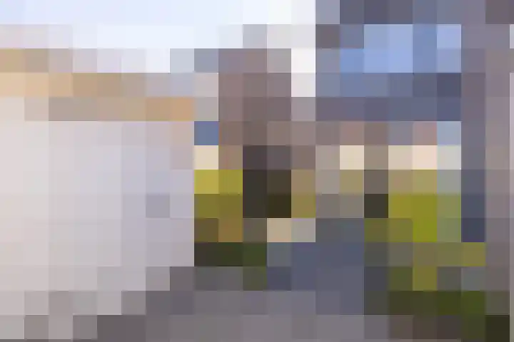 De Loanen 19 Eanjum thumbnail 39