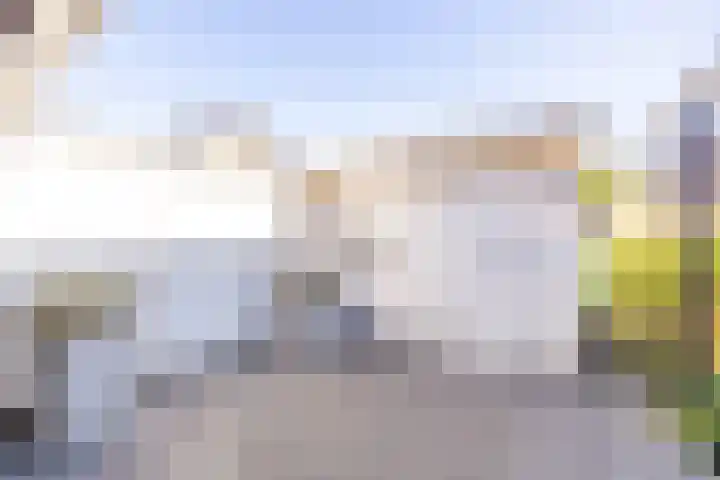 De Loanen 19 Eanjum thumbnail 40