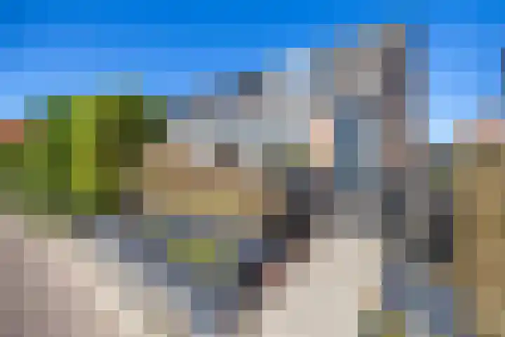 De Loanen 19 Eanjum thumbnail 44