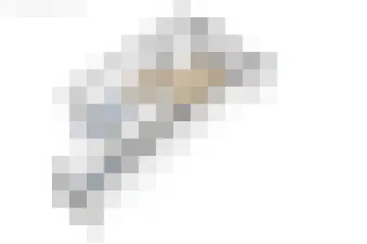 De Loanen 19 Eanjum thumbnail 50