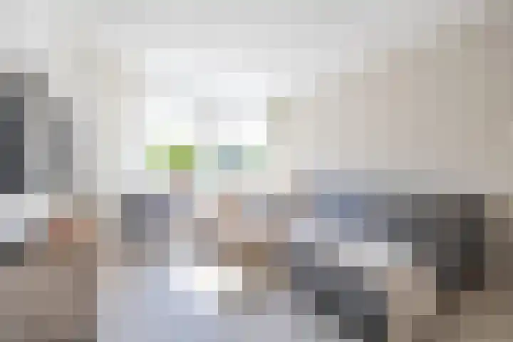 De Loanen 19 Eanjum thumbnail 6