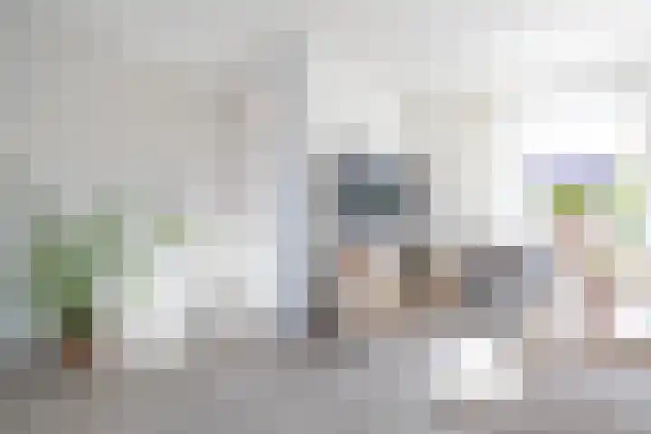De Loanen 19 Eanjum thumbnail 9