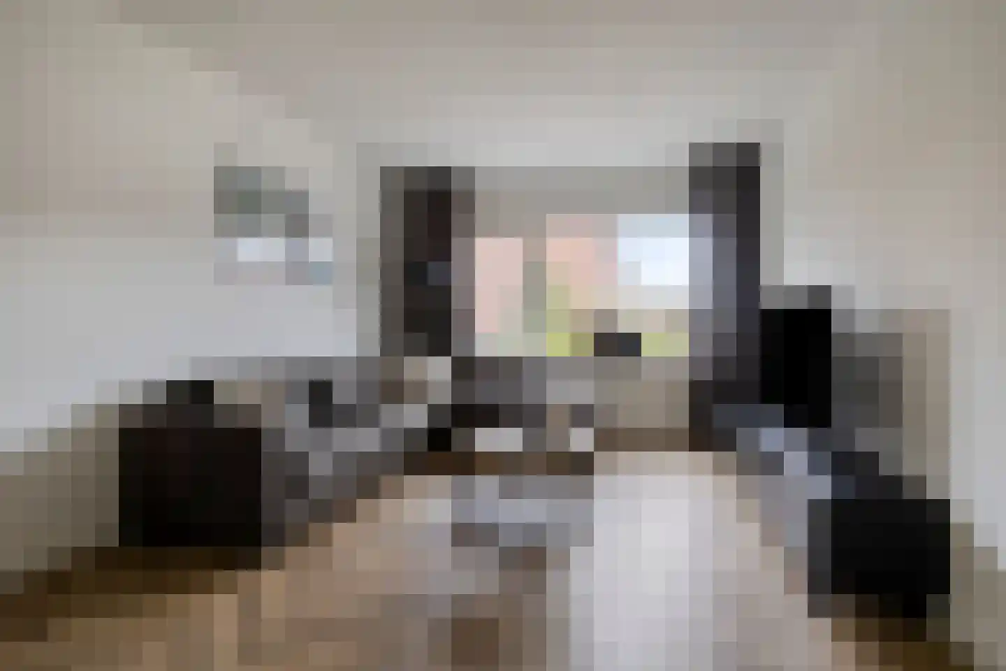 De Loegen 15 Zwartemeer thumbnail 15