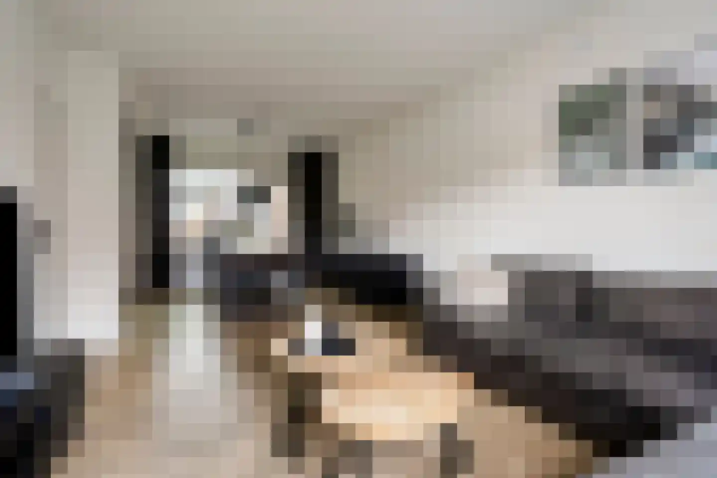 De Loegen 15 Zwartemeer thumbnail 16