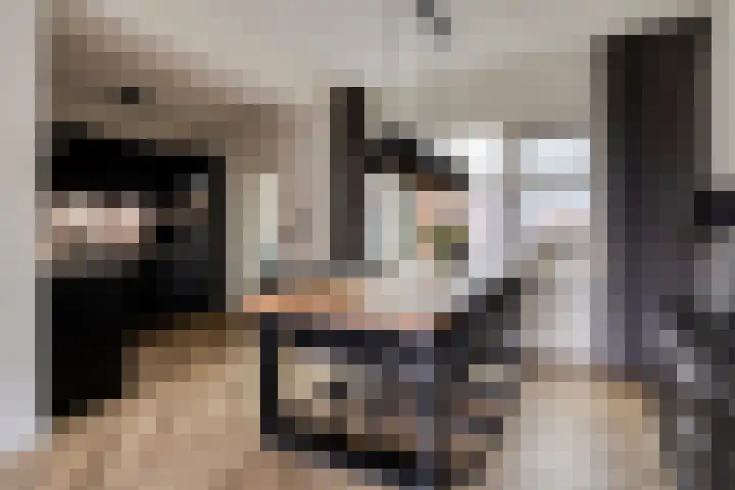 De Loegen 15 Zwartemeer thumbnail 19