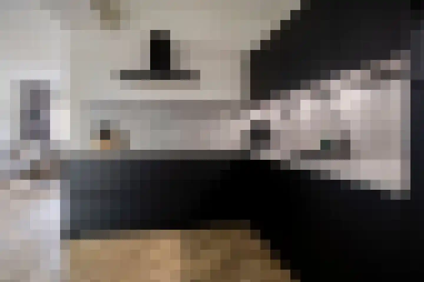 De Loegen 15 Zwartemeer thumbnail 20