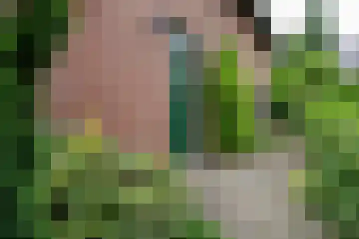 De Loegen 15 Zwartemeer thumbnail 26