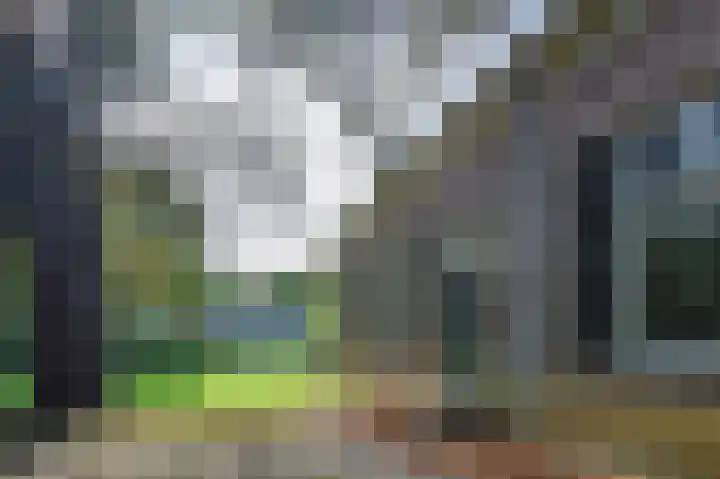 De Loegen 15 Zwartemeer thumbnail 36