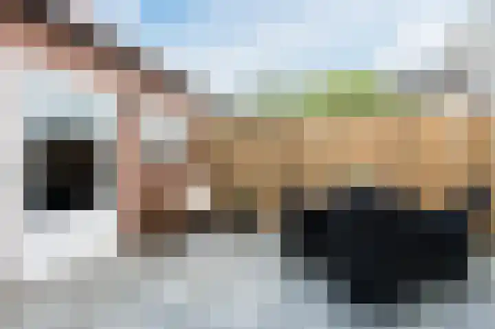 De Loegen 15 Zwartemeer thumbnail 4
