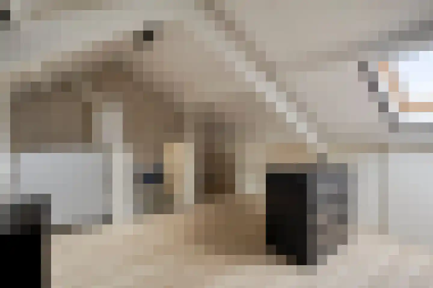 De Loegen 15 Zwartemeer thumbnail 43