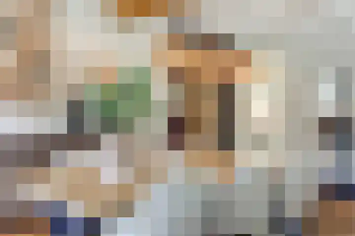 De Loegen 15 Zwartemeer thumbnail 43