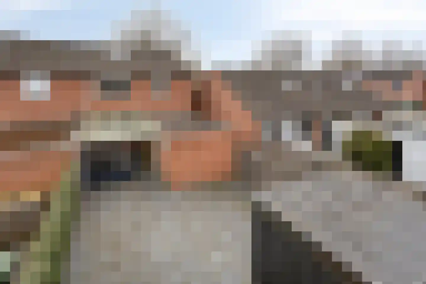 De Loegen 15 Zwartemeer thumbnail 53