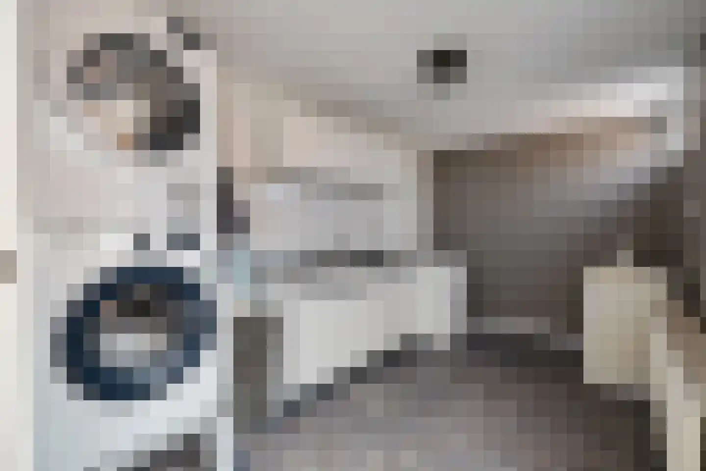 De Loegen 9 Zwartemeer thumbnail 12