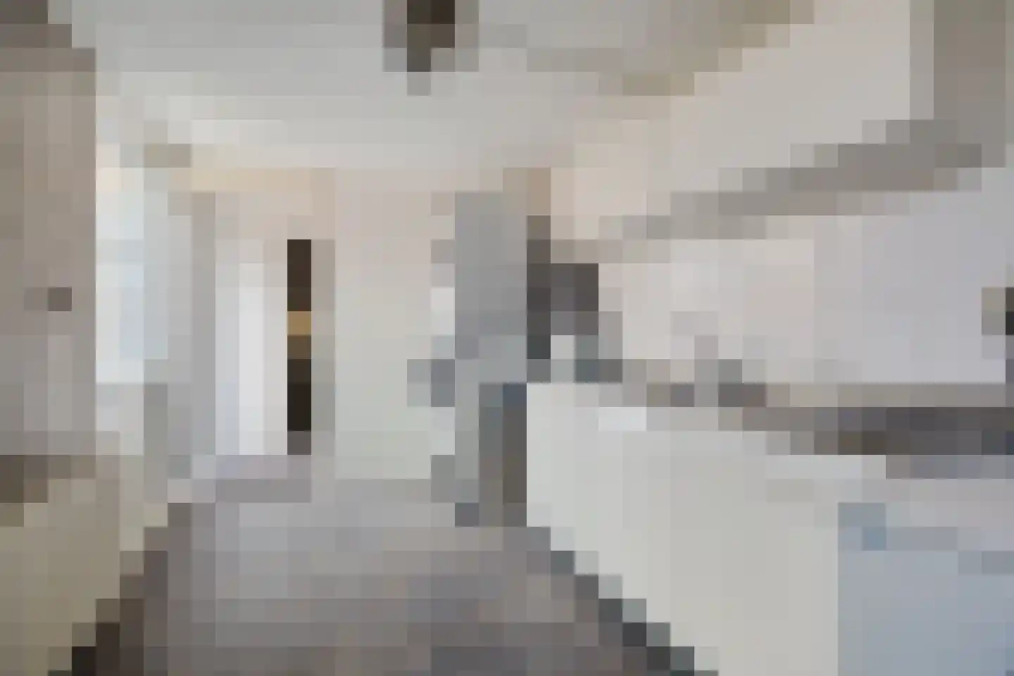 De Loegen 9 Zwartemeer thumbnail 13
