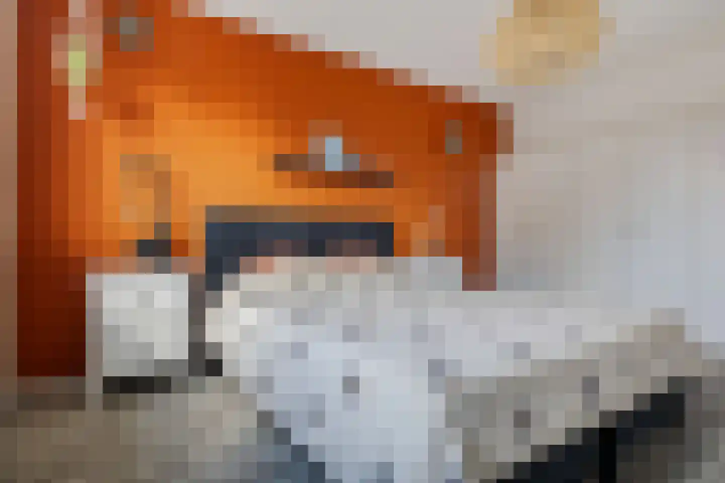 De Loegen 9 Zwartemeer thumbnail 18