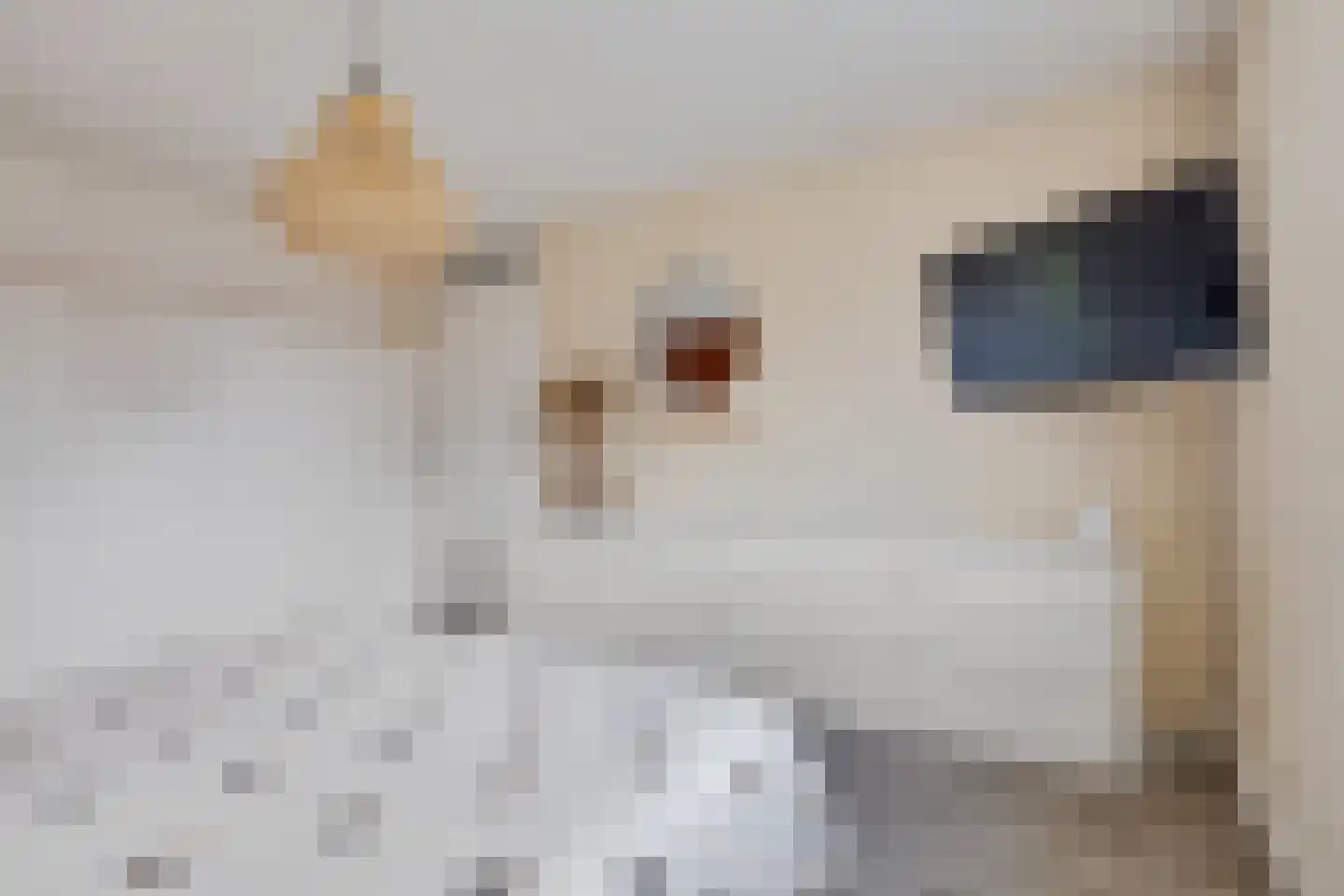 De Loegen 9 Zwartemeer thumbnail 19