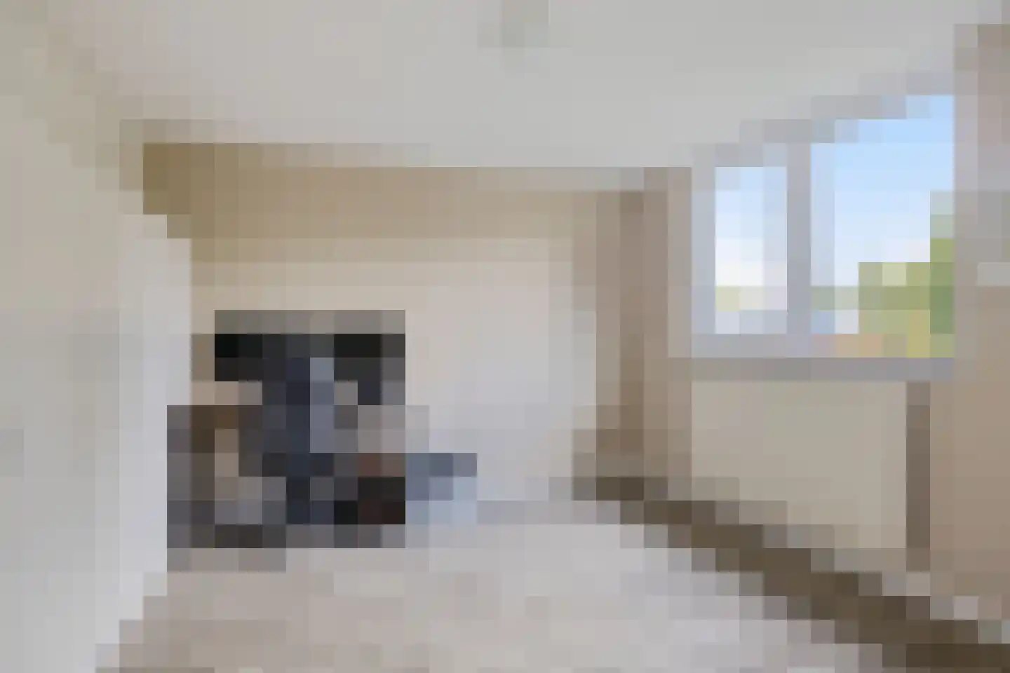 De Loegen 9 Zwartemeer thumbnail 20