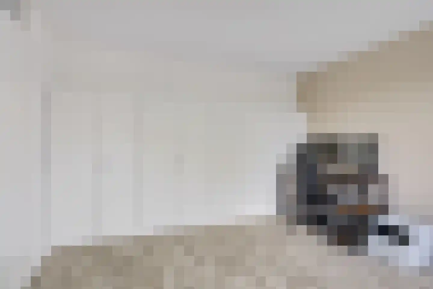 De Loegen 9 Zwartemeer thumbnail 22