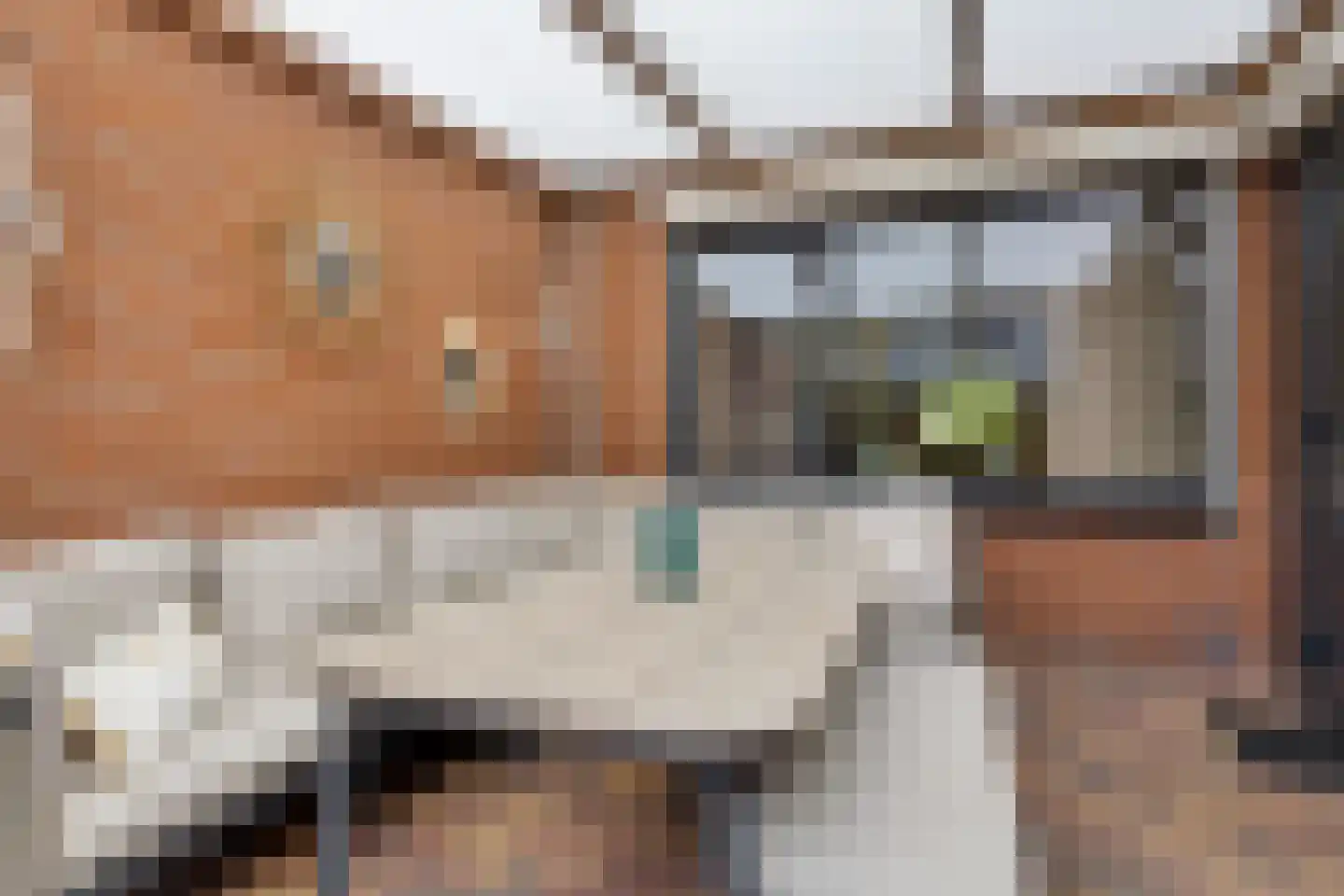 De Loegen 9 Zwartemeer thumbnail 30