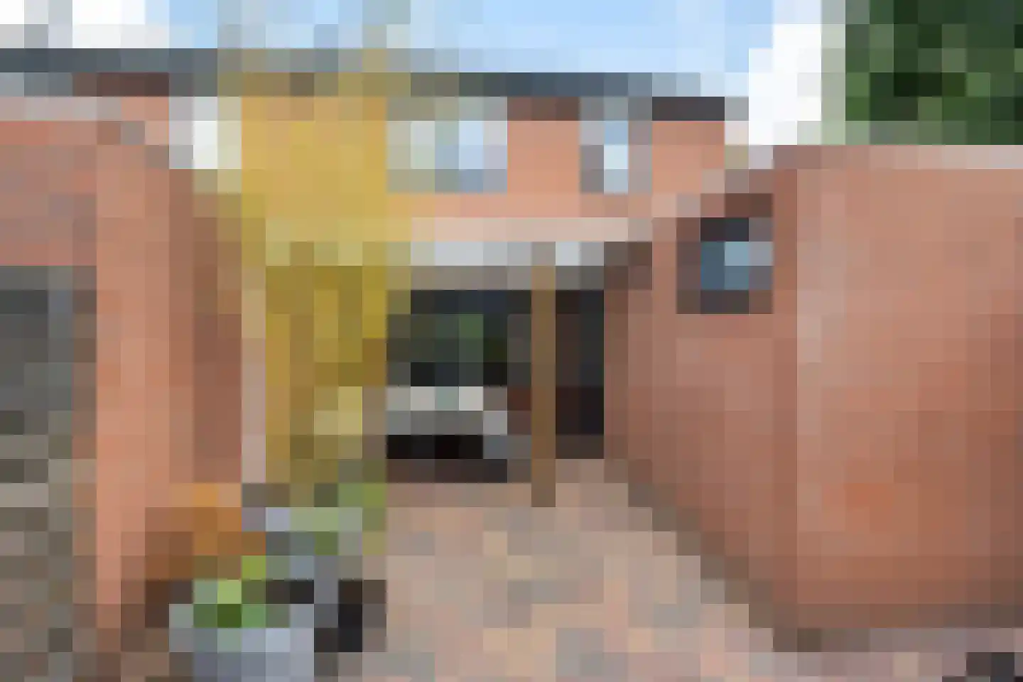De Loegen 9 Zwartemeer thumbnail 31