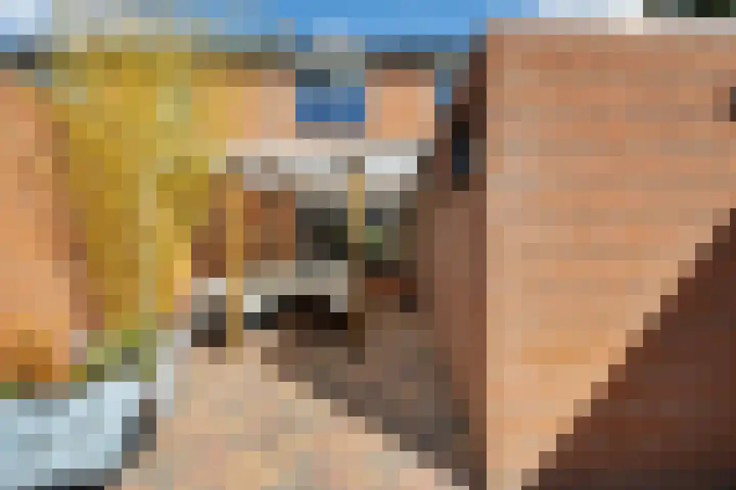 De Loegen 9 Zwartemeer thumbnail 32