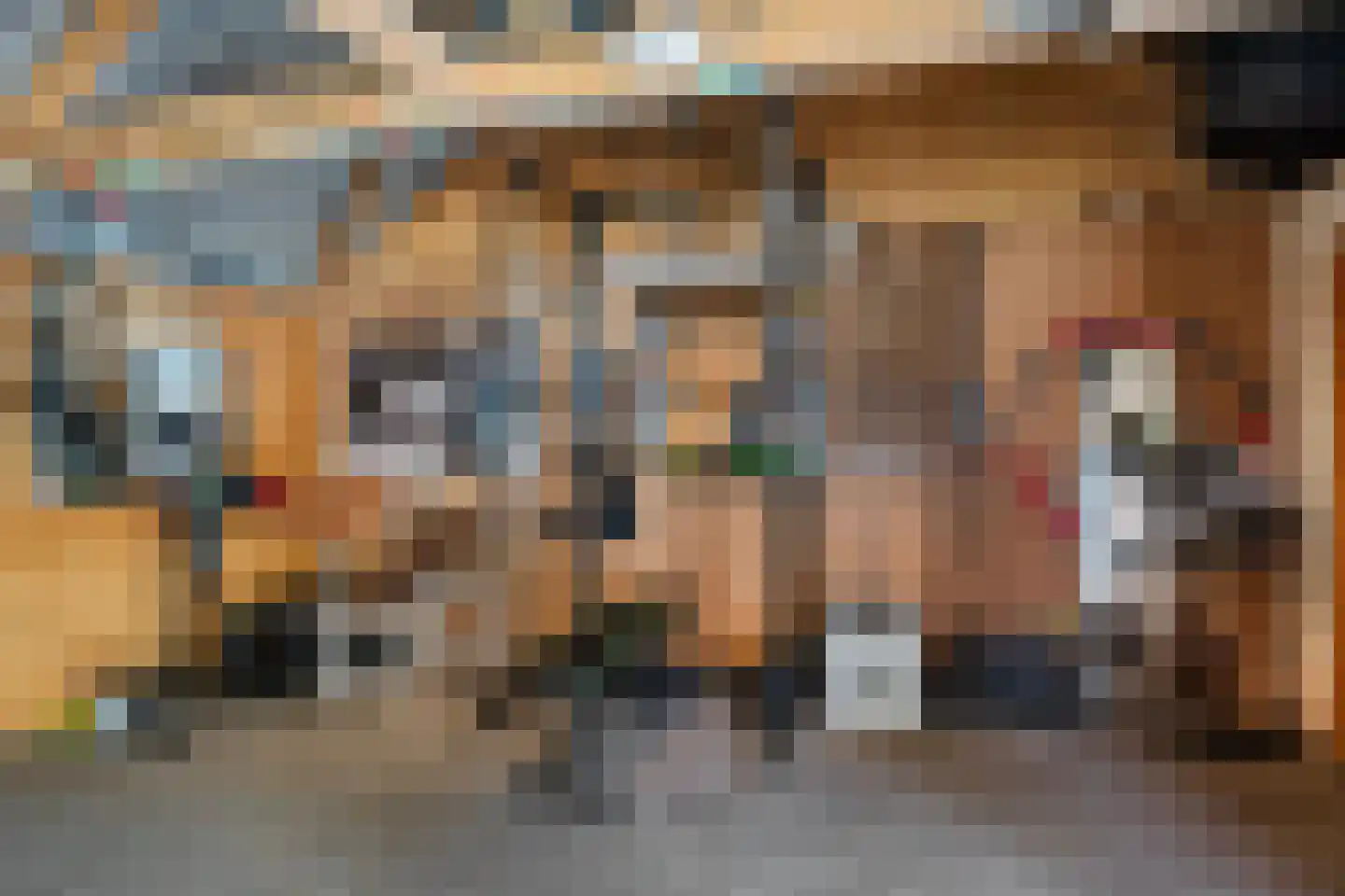De Loegen 9 Zwartemeer thumbnail 36