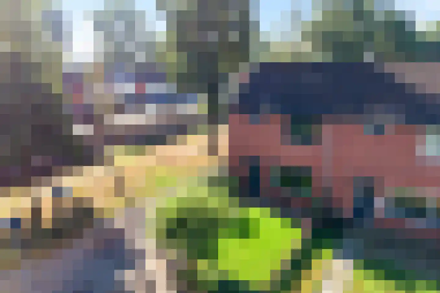 De Loegen 9 Zwartemeer thumbnail 38