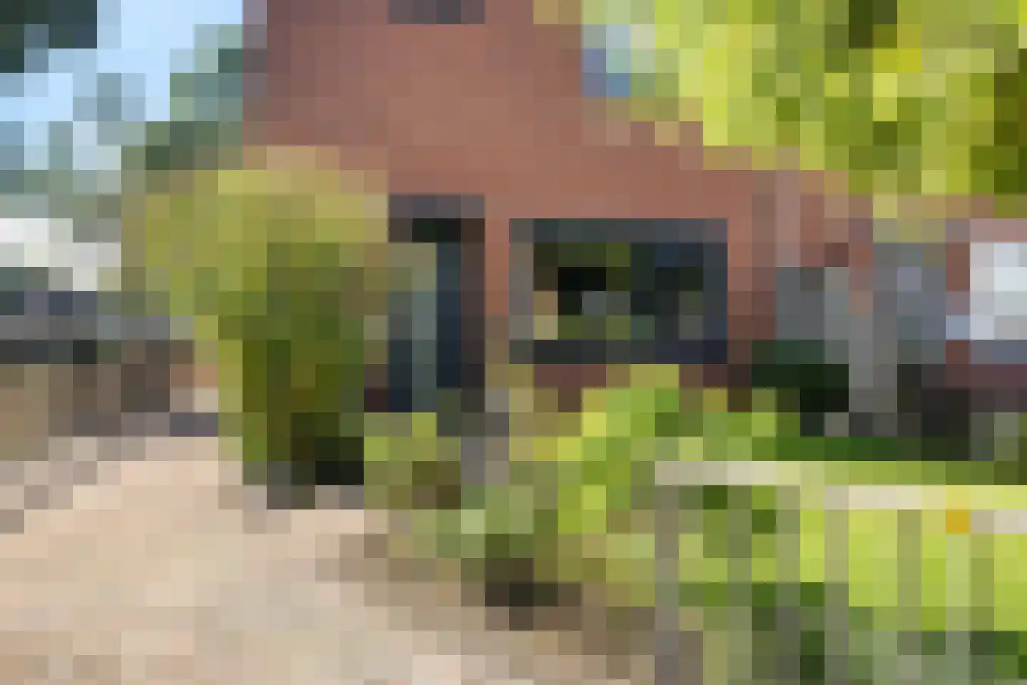 De Loegen 9 Zwartemeer thumbnail 40