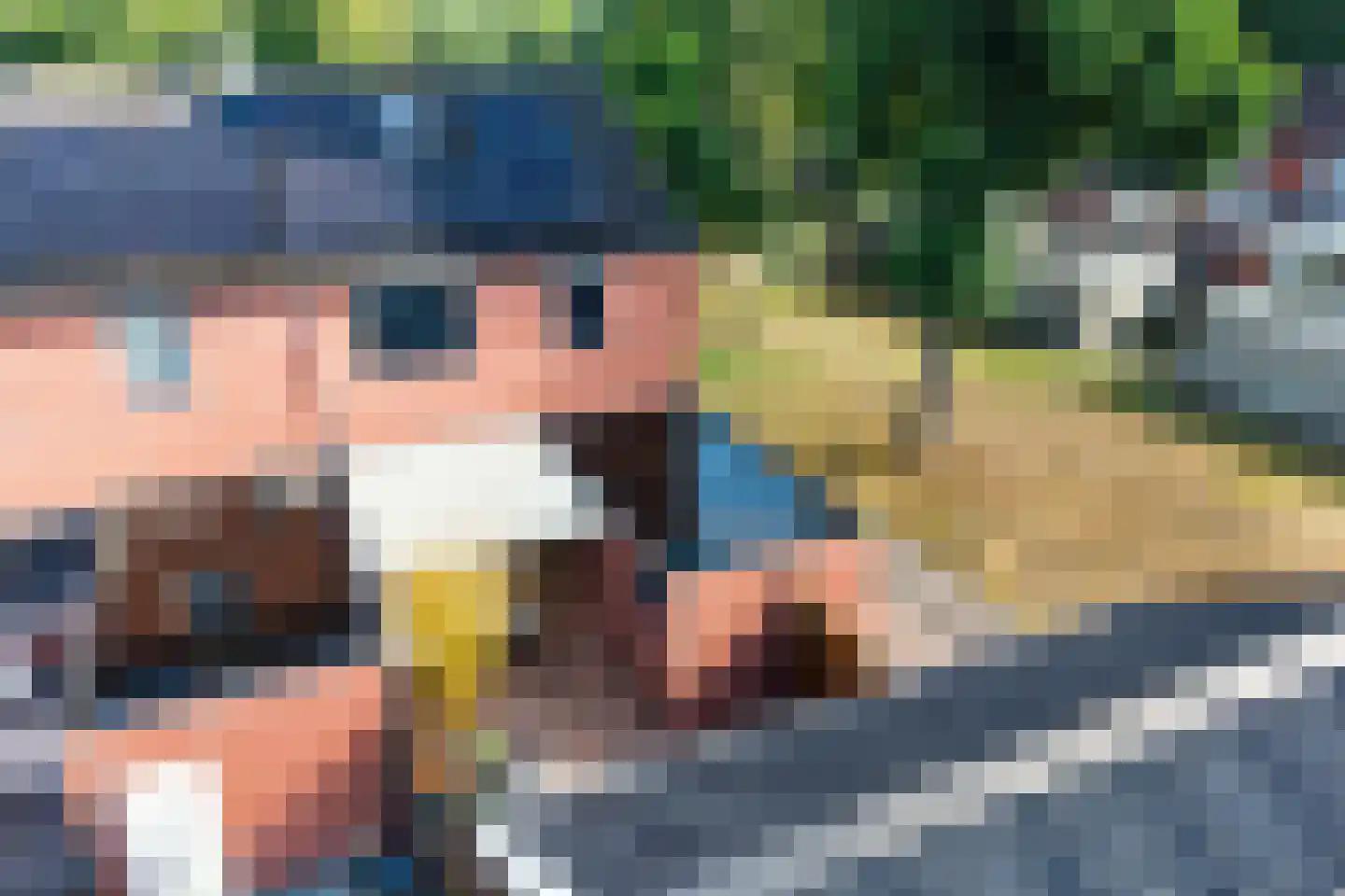De Loegen 9 Zwartemeer thumbnail 47