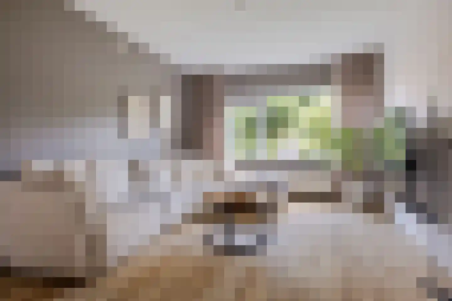 De Loegen 9 Zwartemeer thumbnail 6